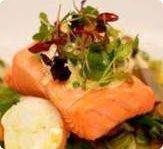 Fresh Salmon Fresh Salmon