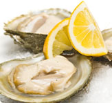 Fresh Shellfish Fresh Shellfish
