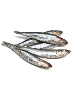 Anchovies Whole 500g/Frozen - PRE ORDER STOCK ARRIVING SOON