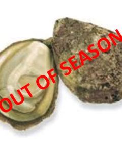  Oysters Bluff Whole In Shell (2 Dozen)/Fresh - OUT OF SEASON