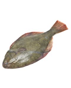 Yellowbelly Flounder Gutted (ungraded) 1kg/IVP Frozen