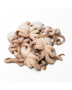 Octopus Whole Baby (16/25) 1kg/Frozen 