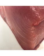 Albacore Tuna NZ Sashimi Blocks 500g/Fresh 