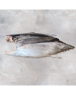 Albacore Tuna Pacific Headed & Gutted per 15kg/Fresh