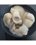Bluff Oysters 2nd Grade Shucked 1 Dozen/Fresh 