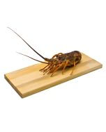 Crayfish NZ Whole Per kg/Fresh 