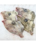 John Dory Fillets Skin On Boneless per 500g/Fresh