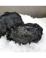 Paua Wild Blackfoot Meat 300g Pack/Frozen