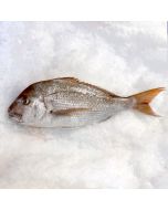 Snapper Gilled & Gutted per 1kg/Fresh