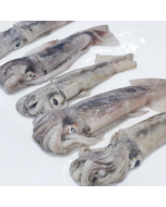 Squid NZ Arrow 100g-200g Whole Premium 1kg Pack/Frozen