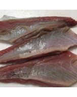 Southern Bluefin Tuna NZ Belly Flaps 1kg/Fresh 