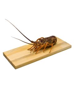 Crayfish NZ Whole Per Kg/Fresh 