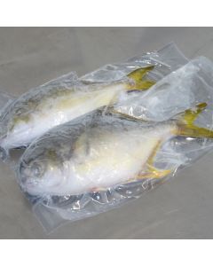 Golden Pompano Whole Round Per 1kg/Frozen