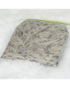 New Seasons 2026 Whitebait West Coast NZ 500g/Frozen 