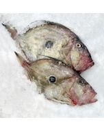 John Dory Gilled & Gutted per 1kg/Fresh