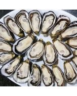 Pacific Oysters Marlborough Half Shell 1 Dozen/Frozen