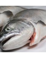 Salmon Mt Cook Gilled & Gutted (2-3kg each) Per kg/Fresh