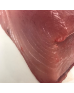 Sashimi Blocks Albacore Tuna NZ 500g/Fresh - PRE ORDER FOR THE NEXT LANDING