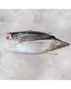 Albacore Tuna Pacific Headed & Gutted per 15kg/Fresh