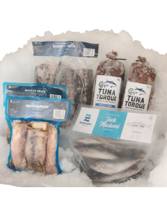 Tasman Bay Bait Box 8kg/Frozen