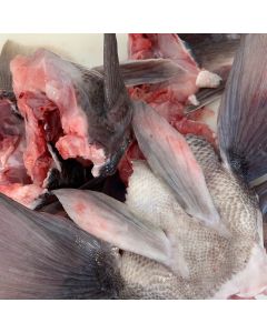 Blue Cod Wings 2kg/Fresh