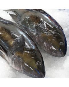 Butterfish Gutted Per 1kg/Fresh