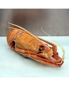 Crayfish Whole Cooked (360-440g) Australian Wild Caught Per 500g/Frozen 