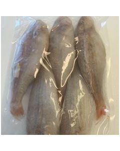 Golden Threadfin Bream 1kg Pack/Frozen