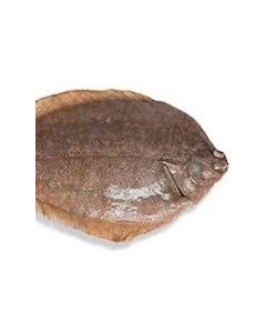 Lemon Sole Gilled & Gutted 1kg/Fresh