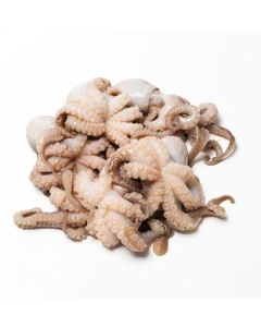 Octopus Whole Baby Per 1kg/Frozen 