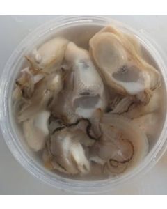 Nelson Dredge Oysters 1st Grade Shucked 1 Dozen/Fresh