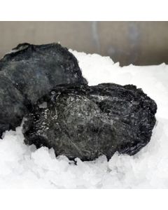 Paua Wild Blackfoot Meat 300g Pack/Frozen