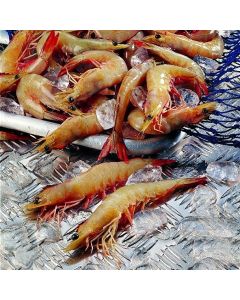 Prawns Australian Wild Caught U15 Banana 1kg Pack/Frozen 