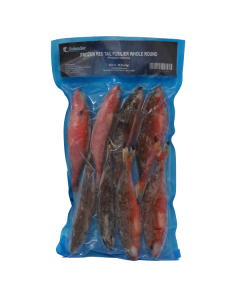 Red Tail Fusilier 1kg Pack/Frozen 