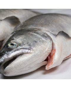 Salmon Mt Cook Gilled & Gutted (1.5-2.6kg each)/Fresh