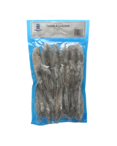 Premium Bait Sardines Whole Round 1kg Pack/Frozen