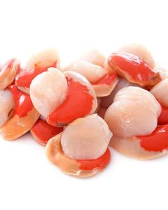Scallops Tasmanian 500g Pack/Frozen