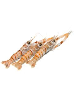 Scampi NZ Whole (70-100g) 2kg Pack/Frozen