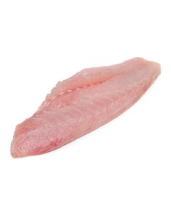 Fresh Snapper Fillets
