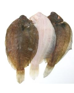 NZ Sole Gilled & Gutted 1kg/Fresh