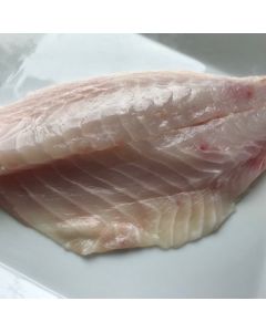 Southern Boarfish Fillets Skin Off Bone Out 500g/Fresh