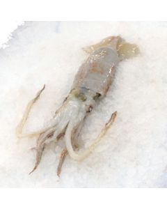 Squid NZ Arrow 200-400g Whole Jig Caught 1kg Pack/Frozen