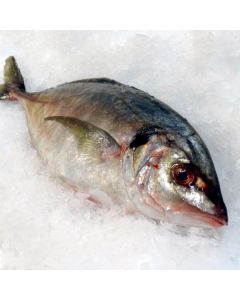 Trevally Gilled & Gutted per 1kg/Fresh