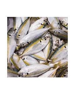 Yellow Stripe Trevally Whole Round 1kg Pack/Frozen 