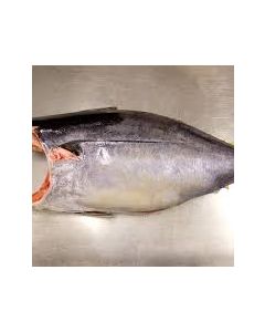 Yellowfin Tuna NZ Gilled & Gutted per 15kg/Fresh