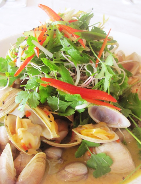 clam