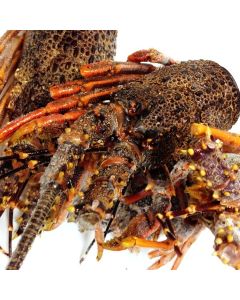 Crayfish Bodies & Heads (Small Grade) 1kg/Frozen