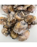 Oysters Pacific Okiwi Bay Shucked (Cooking Grade) IQF 5doz/Frozen